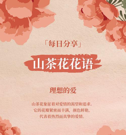 道具娇艳盛放的花语是什么？如何用花语表达热情？