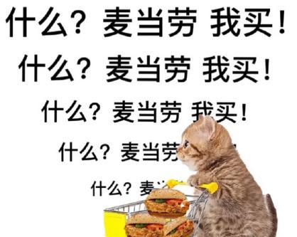 麦当劳的花语代表什么？麦当劳象征着什么？