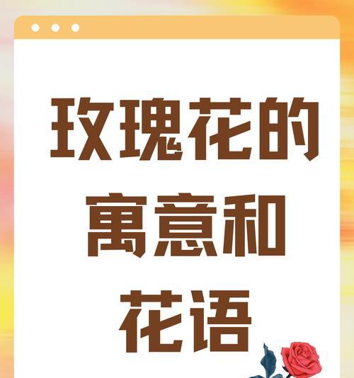 冬日红玫瑰的花语是什么？红玫瑰在冬季有何特别含义？