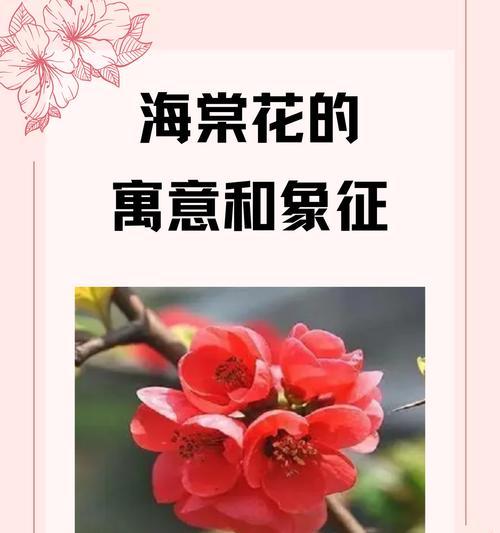 水边的花语和寓意通常是什么？