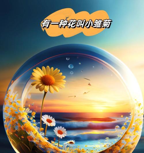 水边的花语和寓意通常是什么？