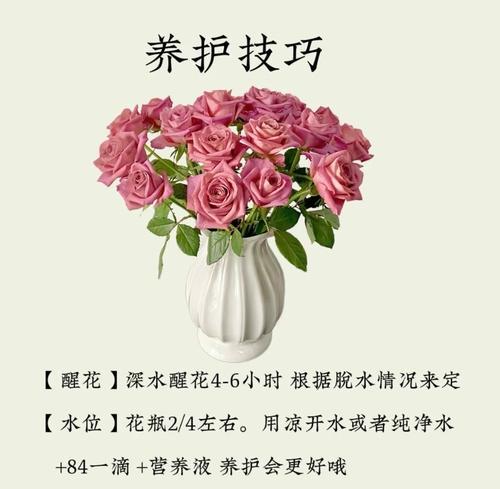 玫瑰花的管理技巧有哪些？