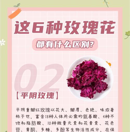 玫瑰花的管理技巧有哪些？