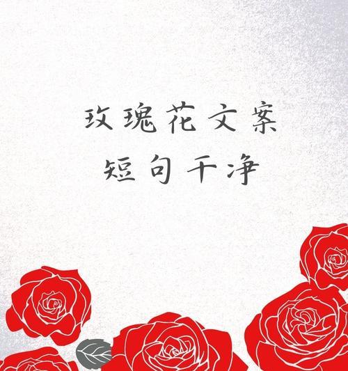 玫瑰花与爱意花的区别在哪里？