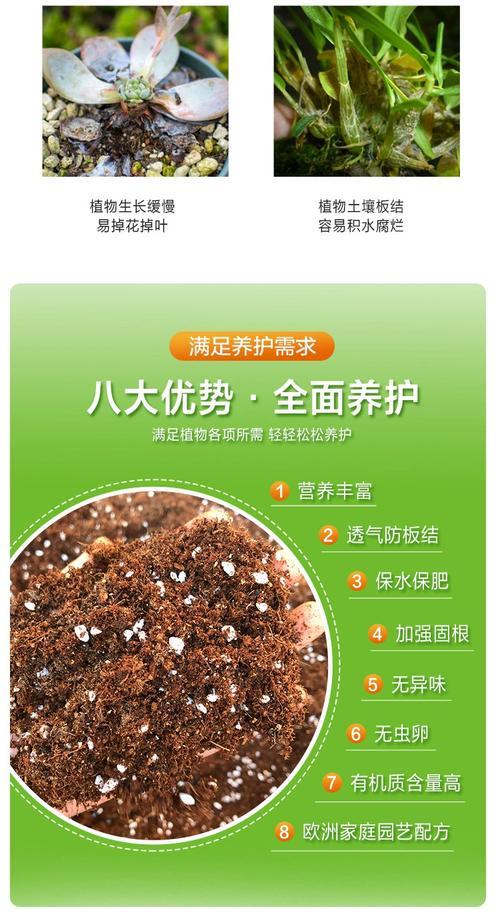 用泥炭土养君子兰好吗？如何正确养护？