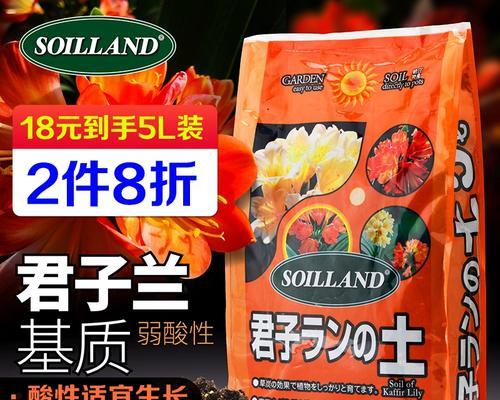 君子兰土透水的最佳方法是什么？