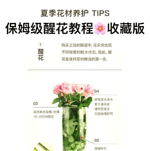 玫瑰花小苗的养护技巧有哪些？如何促进生长？