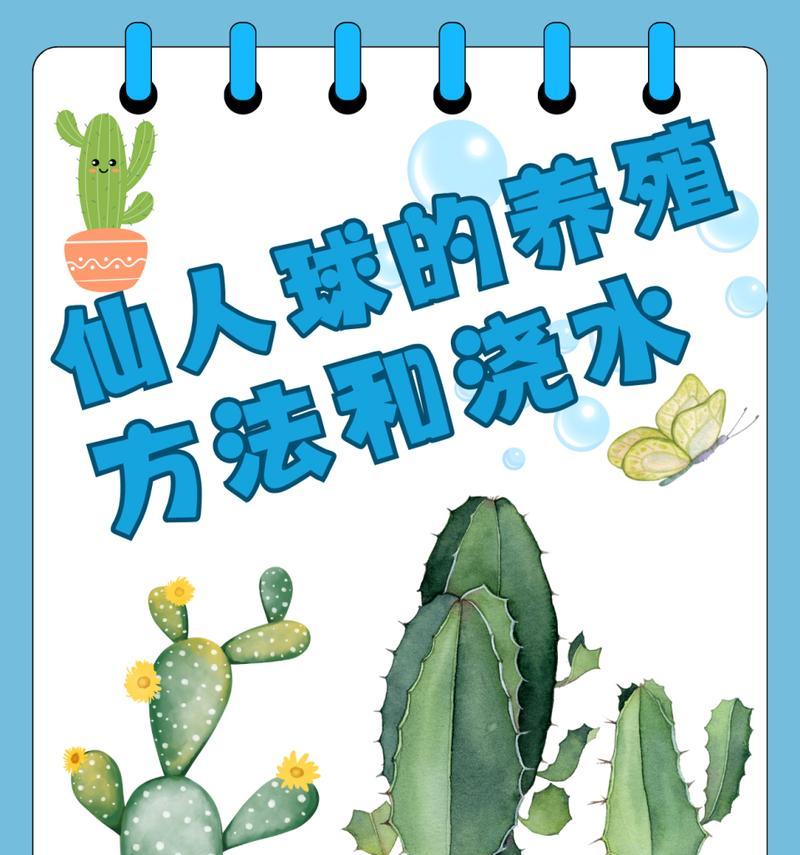 仙人球春天如何浇水？浇水过程中需要注意什么？