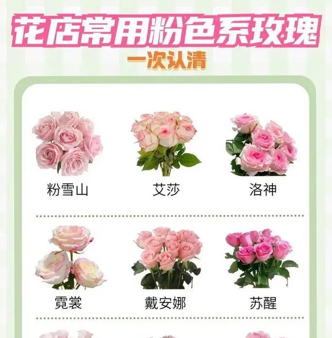 玫瑰花与花托花有何区别？如何区分它们？