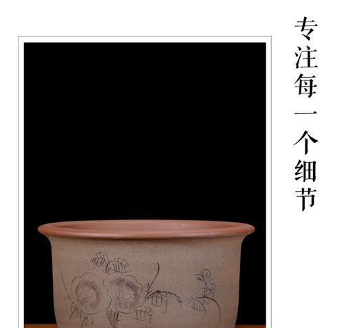 紫砂仙人球盆的正确养护方法是什么？
