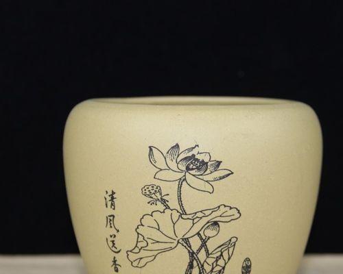 紫砂仙人球盆的正确养护方法是什么？