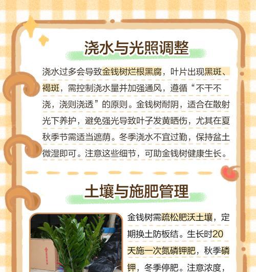 叶子发黄是什么原因？如何预防和处理？