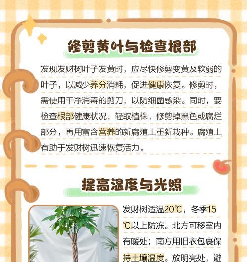 叶子发黄是什么原因？如何预防和处理？