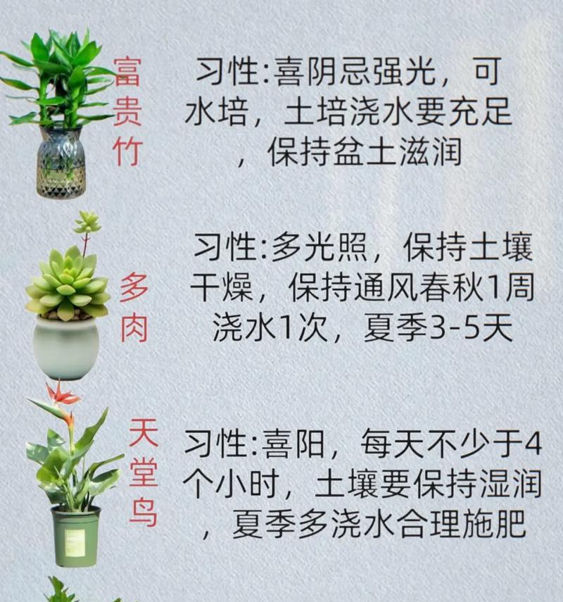 室内花的养护和浇水技巧是什么？如何确保室内花的健康？