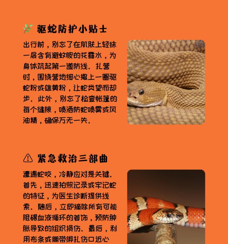 眼镜蛇瓶子草捕虫的机制是什么？如何帮助其更好地捕食？