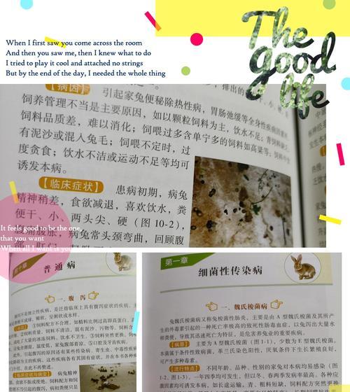 千兔耳的养殖要点是什么？如何处理病虫害问题？