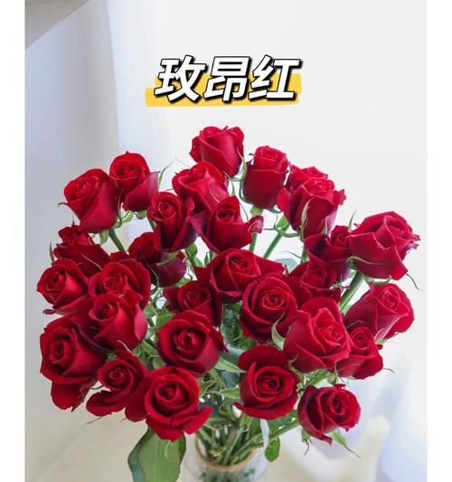 哪些玫瑰品种适合做鲜切花？
