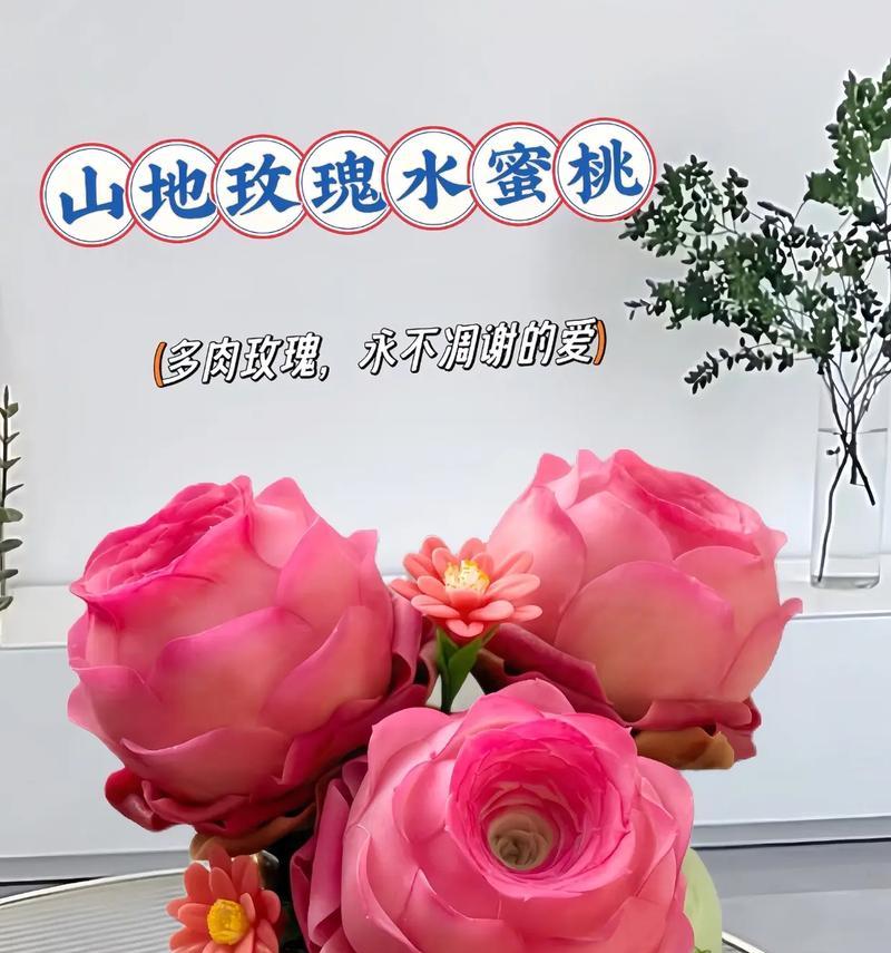 多肉玫瑰的养护技巧有哪些？