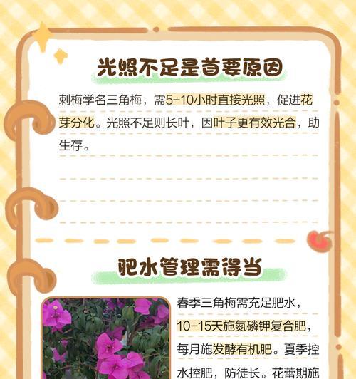 刺梅叶子发黄怎么办？可能的原因和解决办法是什么？