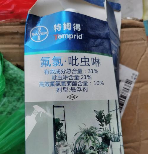 杀死蚧壳虫的有效方法是什么？如何预防蚧壳虫的侵害？