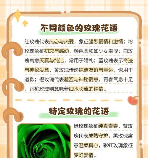 理想中的恋人花语是怎样的？它表达了哪些情感？