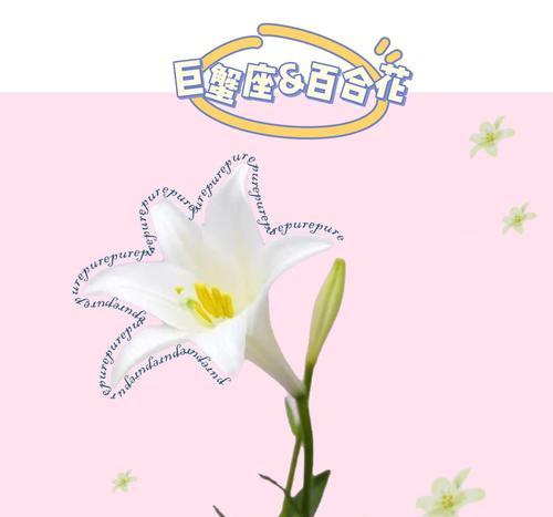 巨蟹座命运花语有何含义？如何通过花语了解巨蟹座？