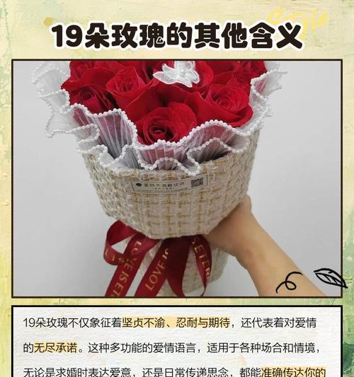 19朵玫瑰代表什么特别意义？