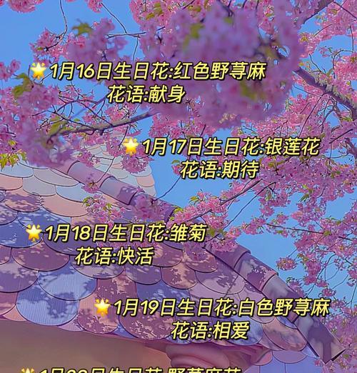 不凋谢的花在生日时代表什么意义？它的花语是什么？