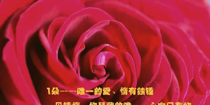 花语中隐藏的答案是什么？它传达了哪些信息？