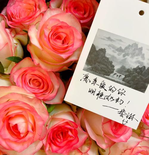 19朵爱莎小玫瑰的花语是什么？它代表了什么？