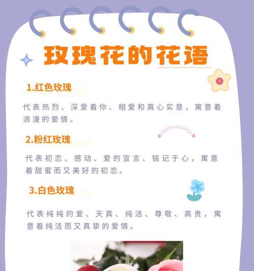 19朵爱莎小玫瑰的花语是什么？它代表了什么？