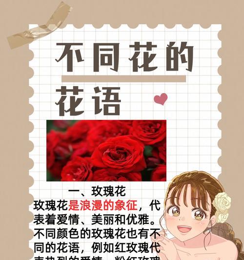 美丽的花语通常是什么？