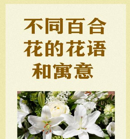 五瓣梅的花语和寓意是什么？