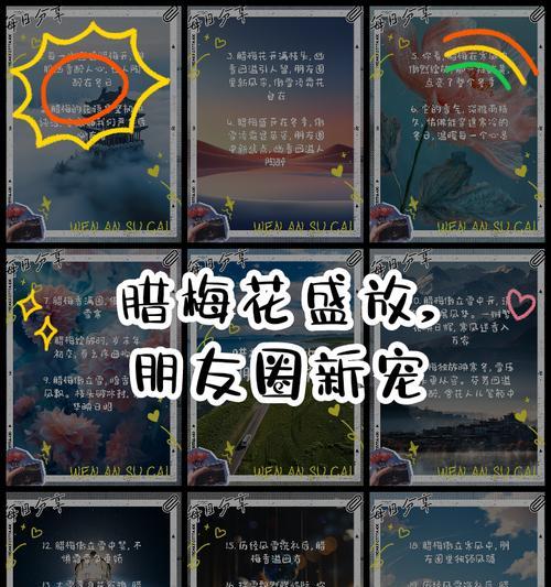 哪些花语能安慰和鼓励人？它们分别是什么？