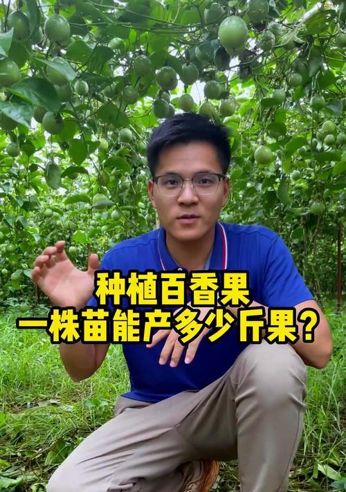 百香果树的养殖方法是什么？如何确保其健康成长？