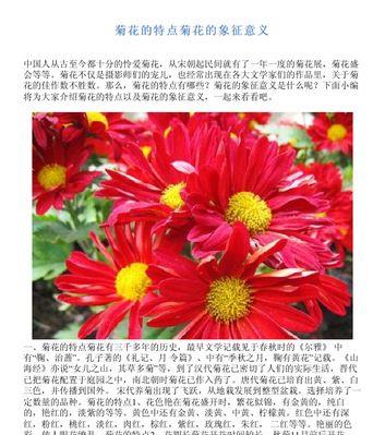 菊花的品种有哪些？各自的生长习性是什么？