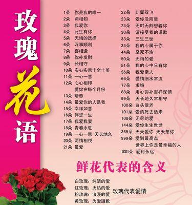 小黄子玫瑰代表什么花语？