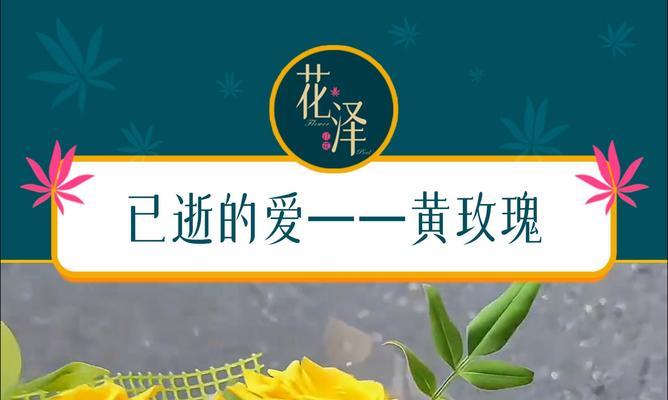 小黄子玫瑰代表什么花语？