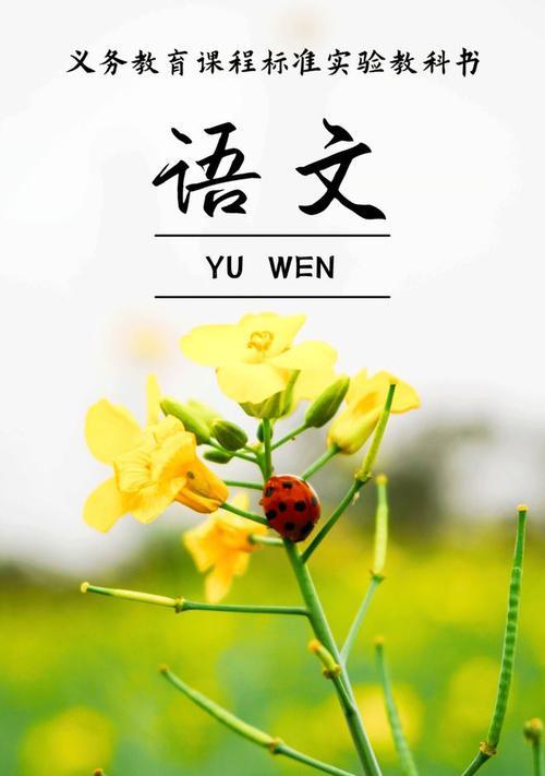 油菜花的花语有何深意？如何在春天表达情感？