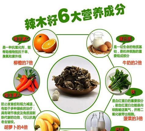 辣木籽花的用途是什么？它对人体有哪些益处？