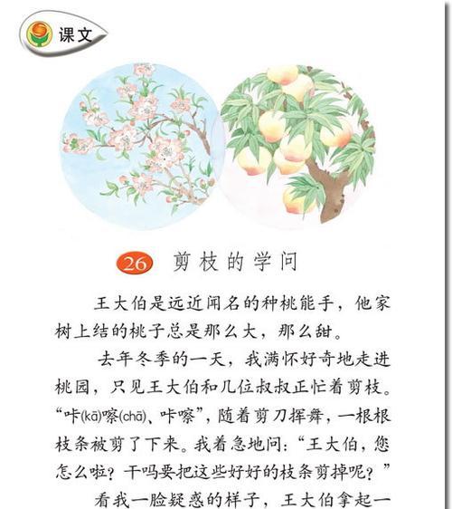 米兰的正确剪枝方法是什么？如何通过剪枝促进其生长？