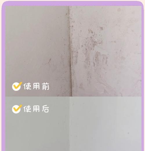 盆栽土发霉的原因是什么？如何处理和预防盆栽土发霉？