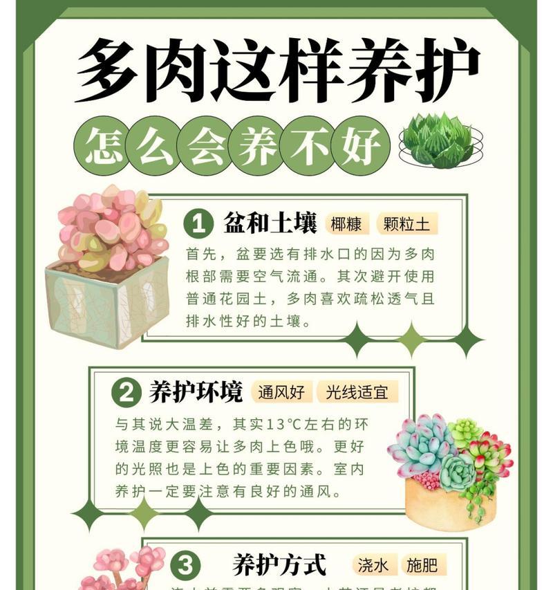 多肉植物徒长了怎么办？如何防止多肉植物徒长？