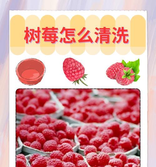 树莓花语有何优雅之处？