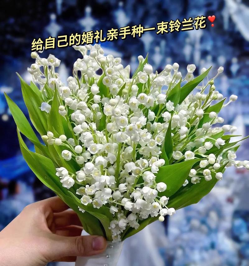 适合送给朋友的花有哪些？这些花的花语是什么？