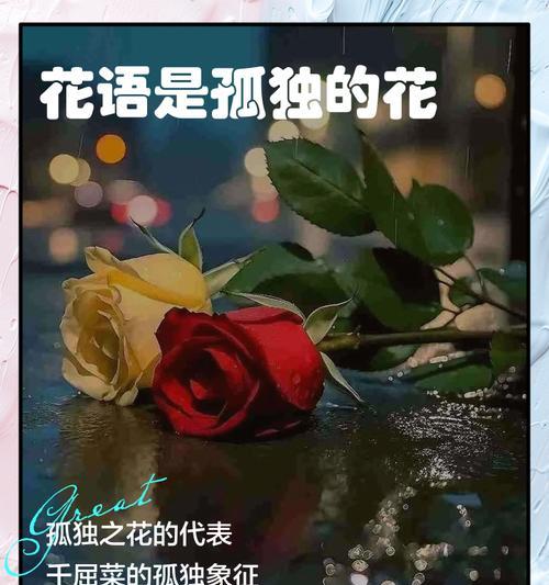 适合送给朋友的花有哪些？这些花的花语是什么？