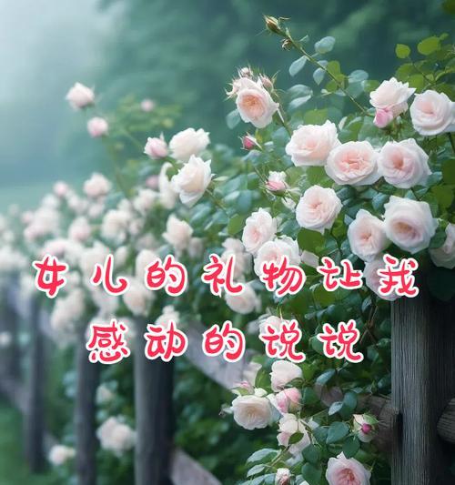 故事的开始花语代表什么含义？