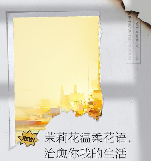 温柔花朵的花语代表了什么情感？