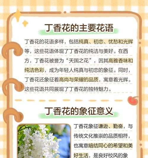 温柔花朵的花语代表了什么情感？