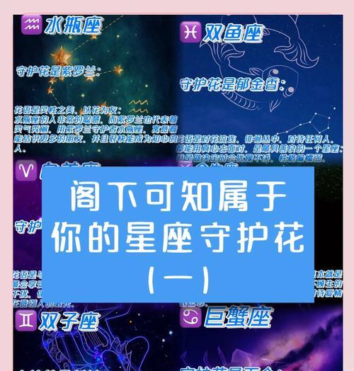 水瓶的花语是什么？水瓶座与花语有何关联？